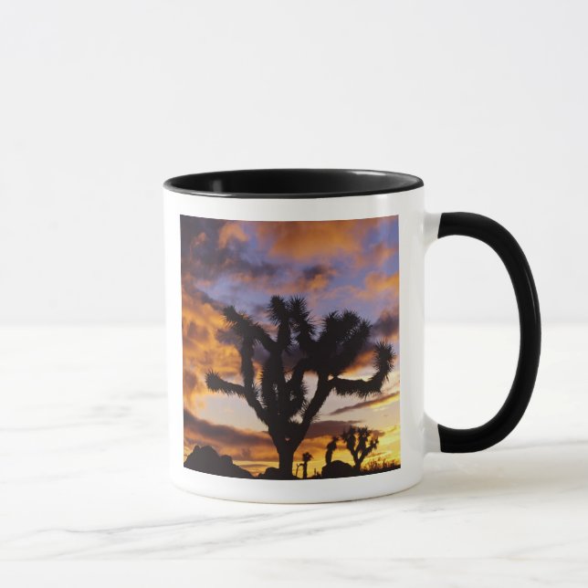 Spektakulärer Sonnenaufgang im Joshua-Tree-Nationa Tasse (Rechts)