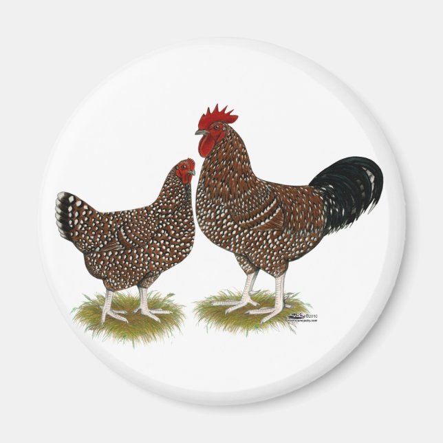 Spekulationen mit Sussex Chickens Magnet (Vorne)