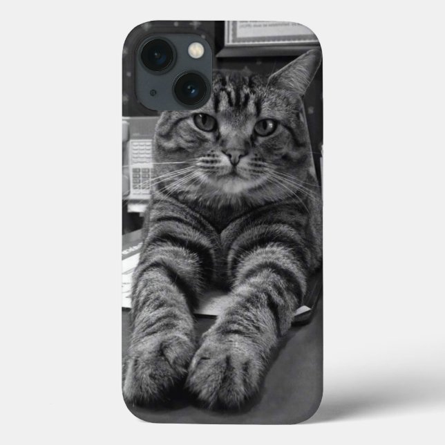 Spencer Cat iPhone 6 Case (Rückseite)