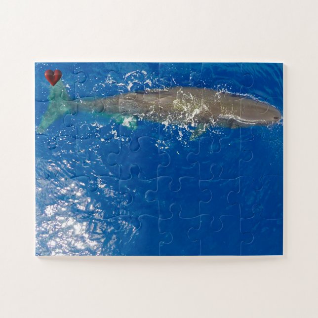 Sperm Whale (Horizontal)