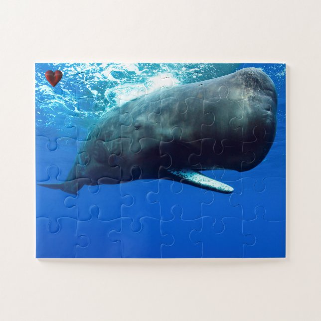 Sperm Whale (Horizontal)