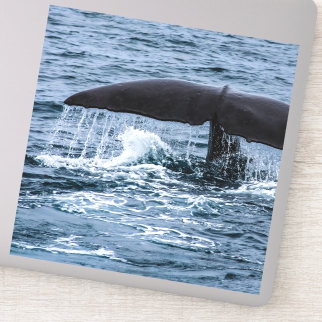 Sperm Whale Aufkleber (Detail)