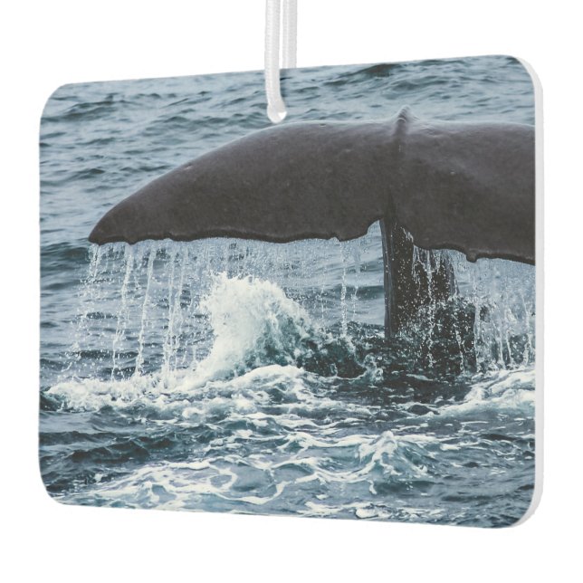 Sperm Whale Autolufterfrischer (Links)