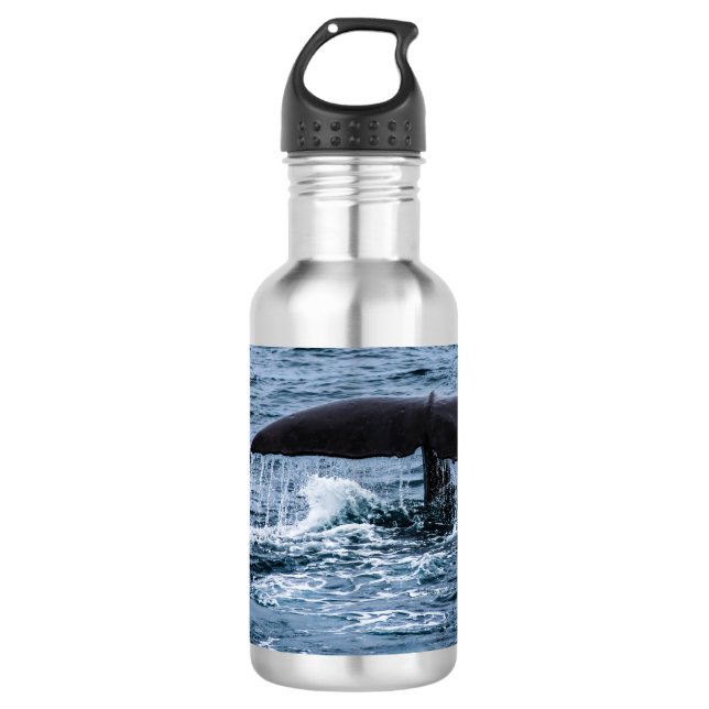 Sperm Whale Edelstahlflasche (Vorderseite)