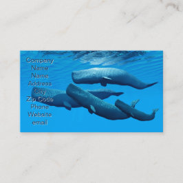 Sperm Whale Family Visitenkarte