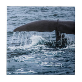 Sperm Whale Fliese