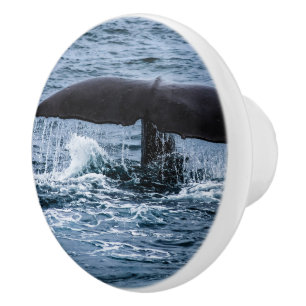 Sperm Whale Keramikknauf