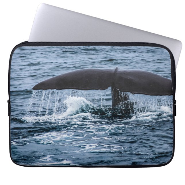 Sperm Whale Laptopschutzhülle (Vorderseite)