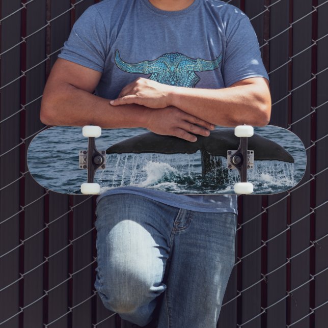 Sperm Whale Skateboard (Außenbereich 3)