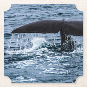 Sperm Whale Untersetzer