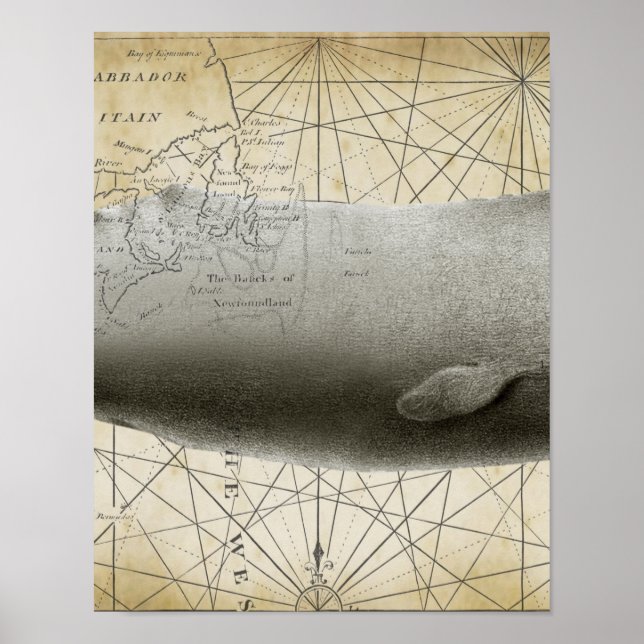 Sperm Whale Vintage Karte Teil 2 Poster (Vorne)