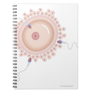 Sperma, das Mutationen von Gen enthält Notizblock