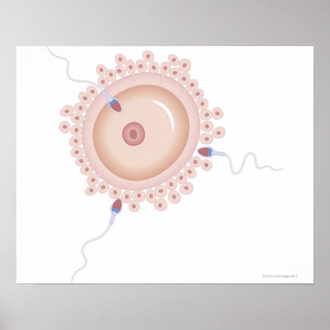Sperma, das Mutationen von Gen enthält Poster (Vorne)