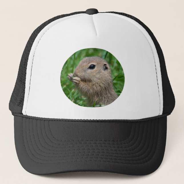 Spermophilus citellus truckerkappe (Vorderseite)