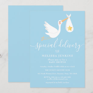 Spezial-Lieferung Storch Star Baby Shower Sprinkle Einladung