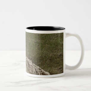 Spezialist klettert unten zweifarbige tasse