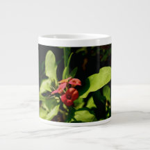 Spezialitäten-Tasse