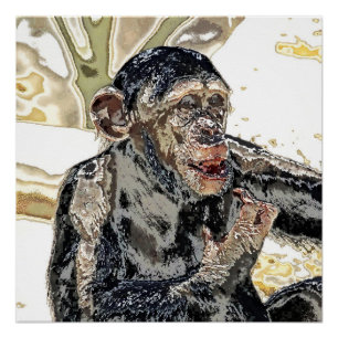 speziell für Sie - Chimp 721-1 Poster