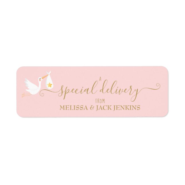 Spezielle Lieferstorch Baby Pink Rücksendeadresse (Vorne)
