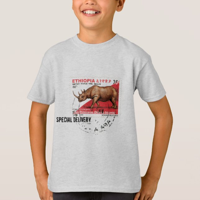 Spezielle Lieferung - äthiopische schwarze T-Shirt (Vorderseite)