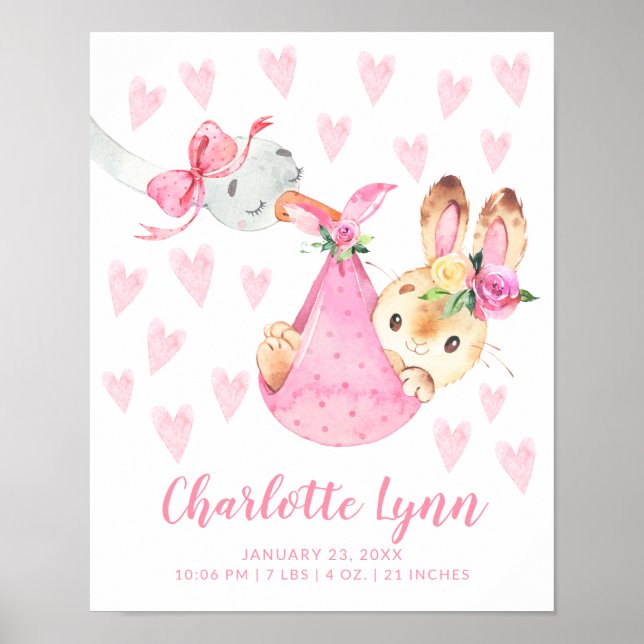Spezielle Lieferung Stork Bunny Baby Birth Stats Poster (Vorne)