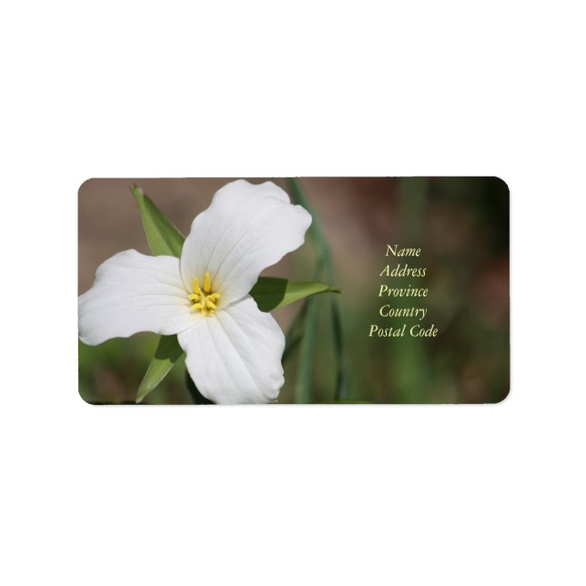 Spezielles Trillium-Label Adressaufkleber (Vorne)