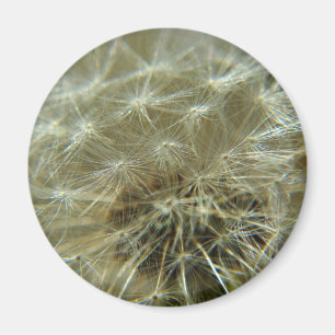 Sphère de liquide - Aimant