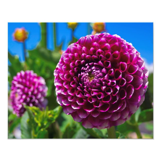 Spherisch Fotodruck (Vorne)