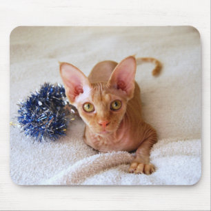 Sphinx Cat mit Blue Tinsel Mousepad