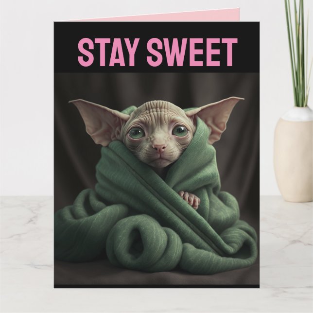 SPHINX CUTE HAIRLESS CAT VALENTINE'S DAY GREETING KARTE (Vorderseite)
