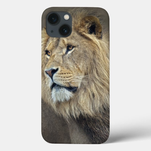 Sphinx iPad Case (Rückseite)