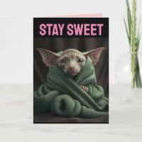 SPHINX NIEDLICH HAIRLESS CAT BIG VALENTINE'S DAY C