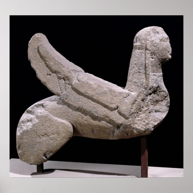 Sphinx von Vulci Poster (Vorne)