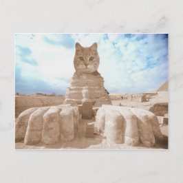 SphinxCat Postkarte