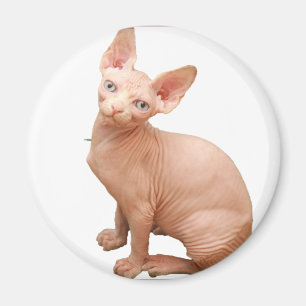 Sphinxkatze Magnet