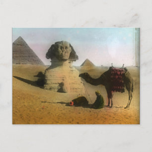 Sphnix und Pyramid Postcard Postkarte