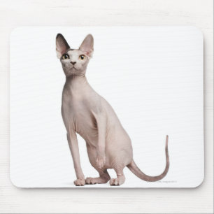 Sphynx (13 Monate alt) Mousepad