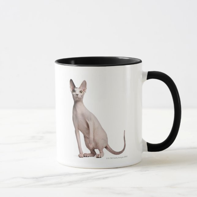 Sphynx (13 Monate alte) Tasse (Rechts)