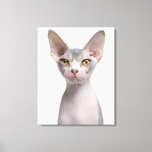 Sphynx (7 Monate alt) Leinwanddruck (Vorderseite)