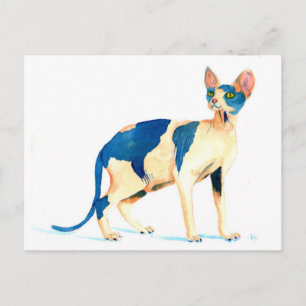 Sphynx Cat 5 Postkarte
