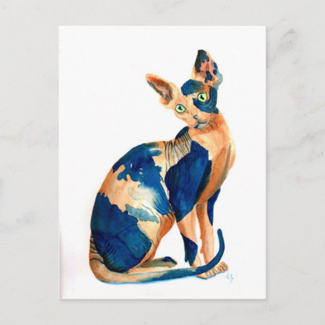 Sphynx Cat 6 Postkarte (Vorderseite)