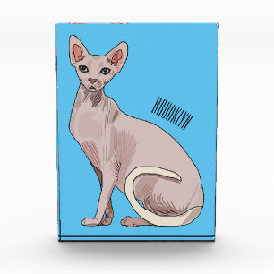 Sphynx cat cartoon illustration fotoblock
