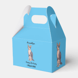 Sphynx cat cartoon illustration geschenkschachtel