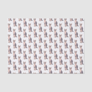 Sphynx cat cartoon illustration seidenpapier