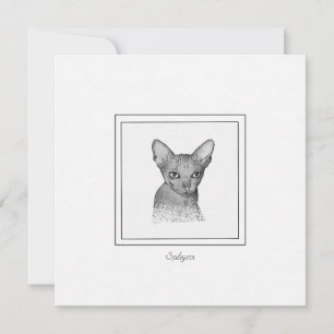 Sphynx Cat Chalk Zeichne Note Card Mitteilungskarte