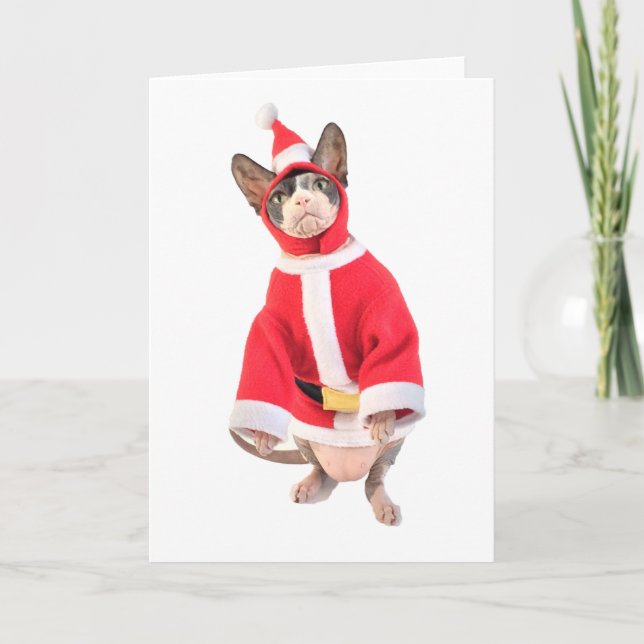 Sphynx Cat Christmas Card Feiertagskarte (Vorderseite)