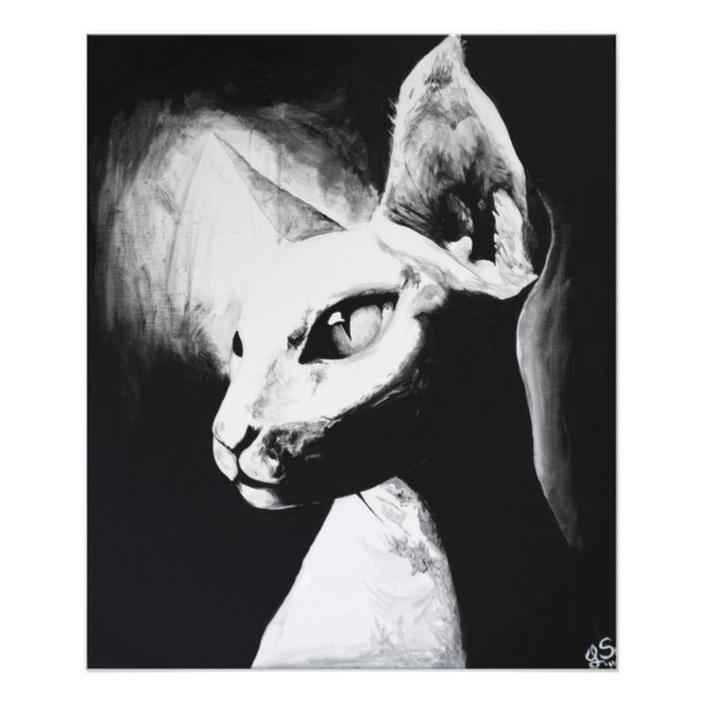 Sphynx Cat Feline Photo d'art original Impression (Devant)