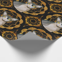 Sphynx Cat Ninja Black und Gold Retro Style