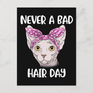 Sphynx Cat Ohrts for Women and Men Sphynx Cat Postkarte