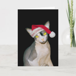 Sphynx Cat Santa Black Christmas Karte